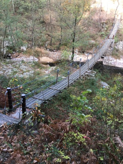 La passerelle de la Daronne