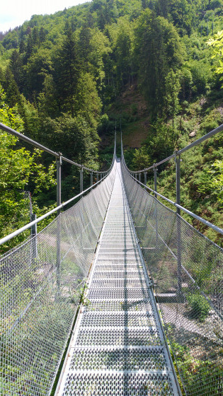 La passerelle métallique