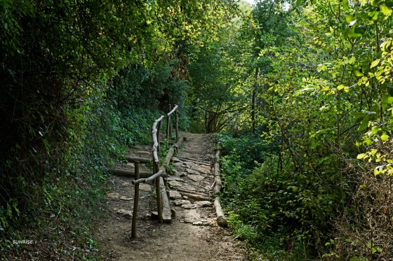 La passerelle
