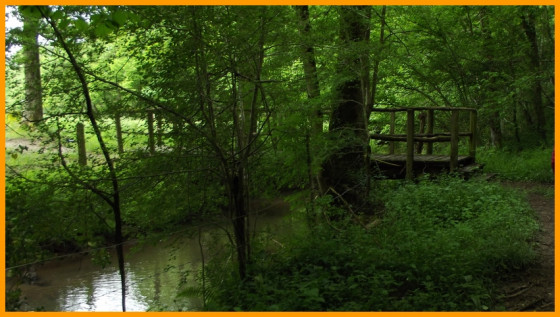 la passerelle