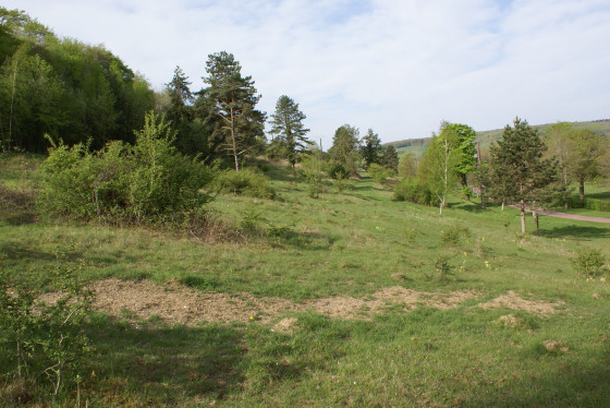 La pelouse de l'Echelle