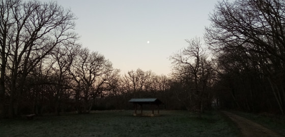 La pelouse
