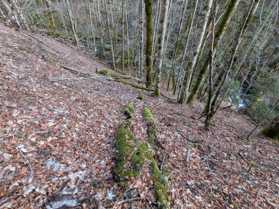 La pente finale arrivant haut Grande Cascade
