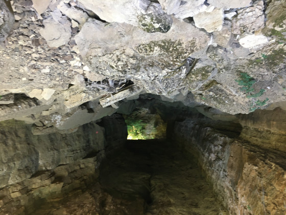 la Perte du Bonheur