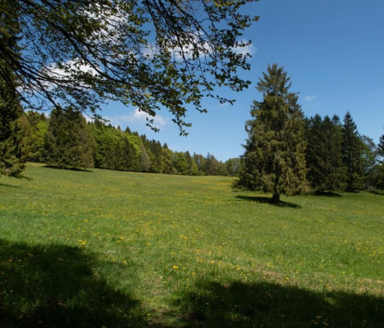 La peterette