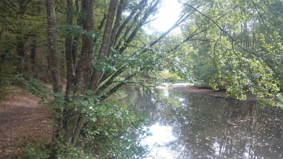 La Petite Creuse avant le moulin de Fr&eacute;teix