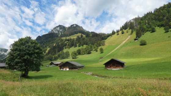 La petite ferme dans la prairie