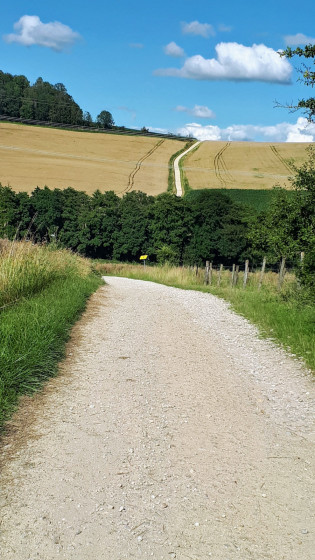 Chemin en montée