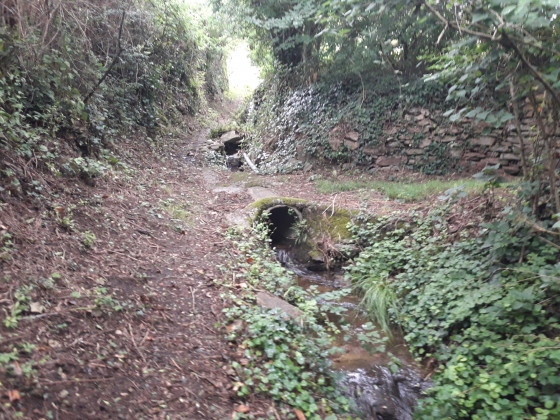 La petite rigole en haut de la côte