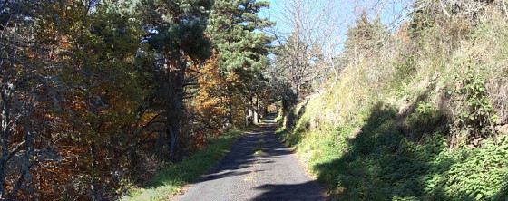 La petite route entre le Chier et Saint Didier d\'Allier