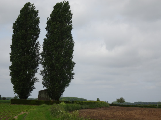 La Pierre Brunehaut