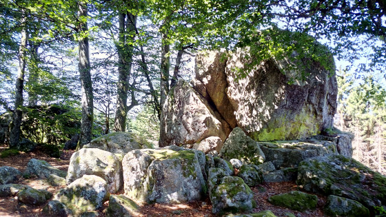 La Pierre druidique
