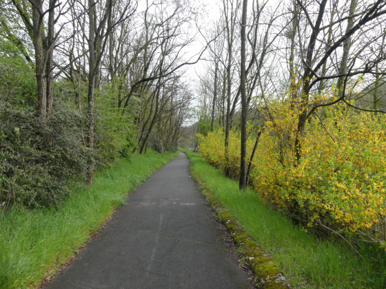 La piste cyclable le long de la N118