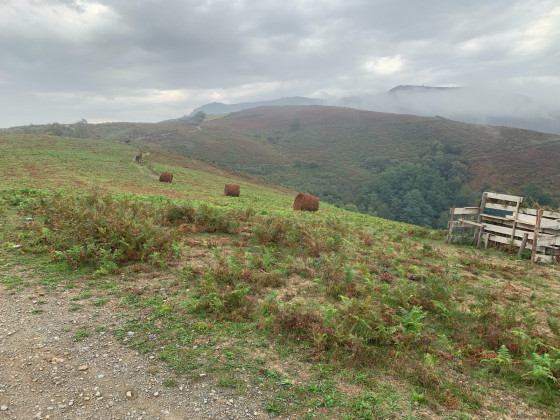 La piste longe des palombi&egrave;res