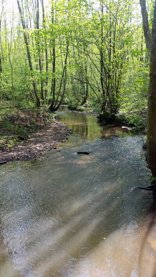 La piste longe la rivière.