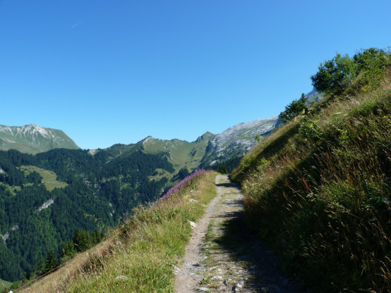 La piste vers les chalets de la Bombardellaz