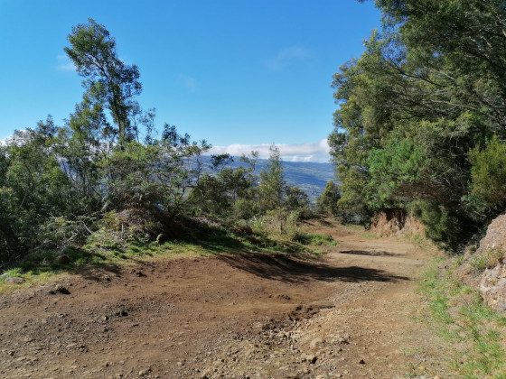 La piste