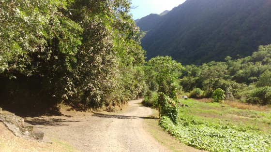 La piste