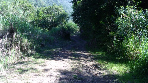 La piste