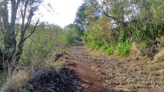 La piste