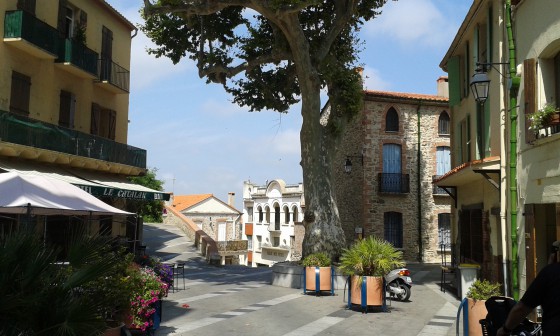 La place au platane