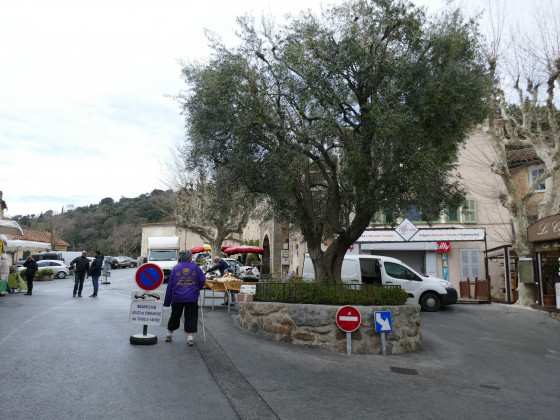 La place de l\'Ormeau