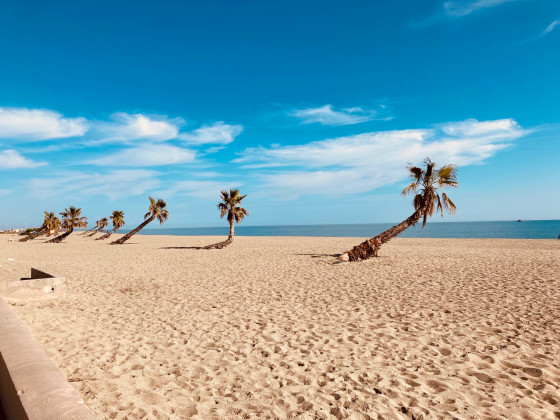La plage à Le Bacarès