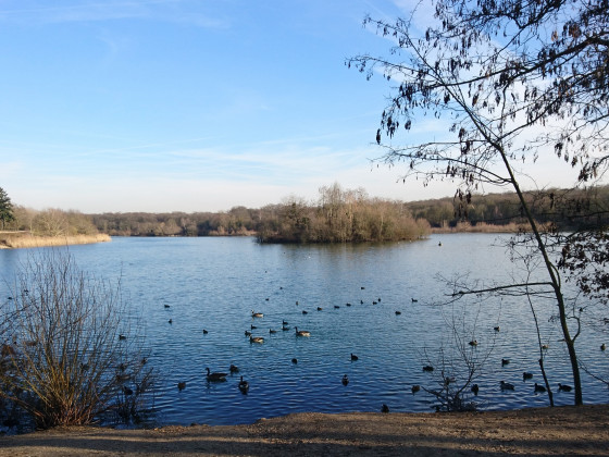 La plage de la for&ecirc;t - &eacute;tang du Corra