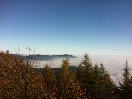 La plaine d\'alsace couverte