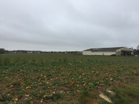 La plaine &agrave; proximit&eacute; de Cairon