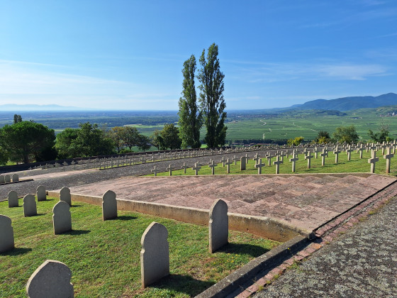 La plaine de Colmar depuis la nécropole nationale de Sigolsheim