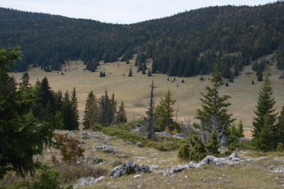 La plaine de Darbounouse dans toute sa splendeur automnale