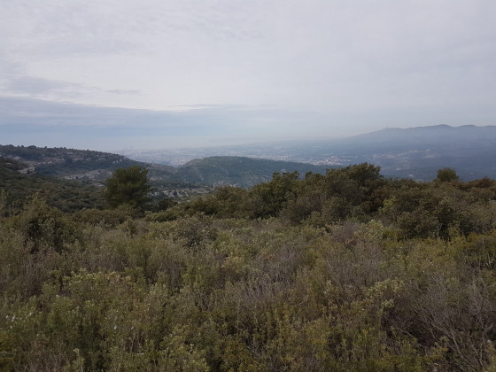 Sur la plaine de la Grive