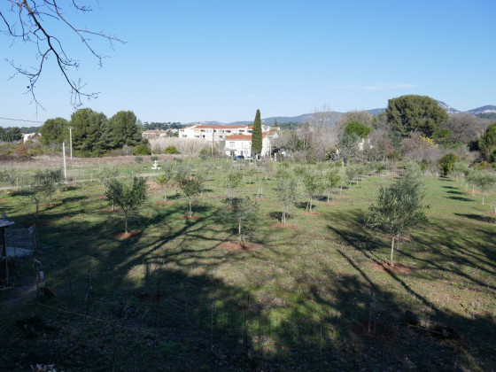 La plaine de la Reppe