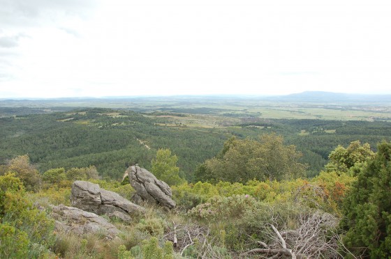 La plaine du Minervois