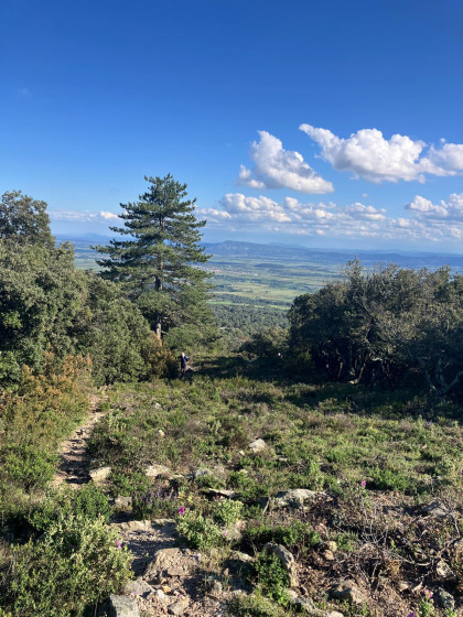 La plaine du Minervois