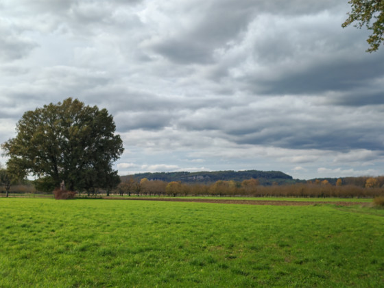 la plaine