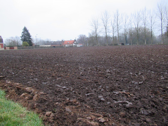 La plaine