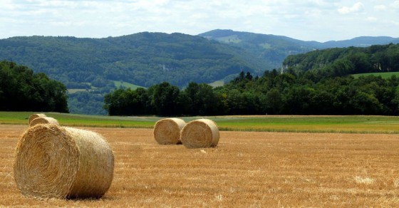 La plateau de Chamesol