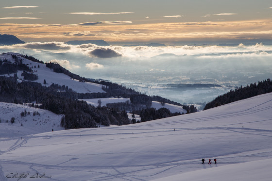 Panorama