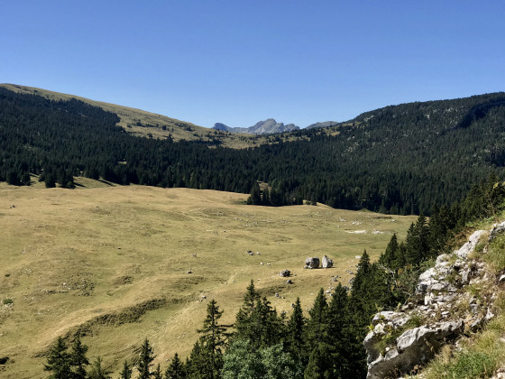 La prairie de l\'Alpette