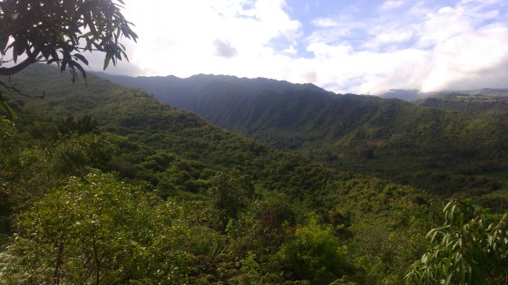 La Ravine de la Mare