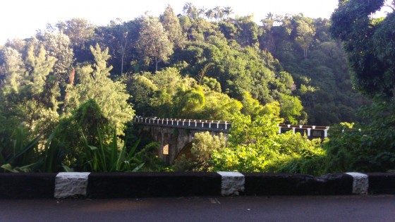La Ravine des Avirons