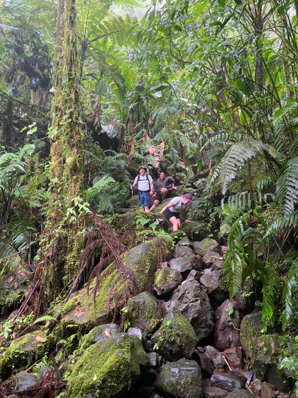 La ravine