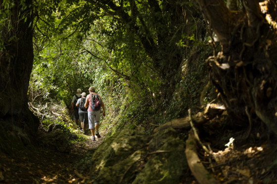 Chemin creux de la Chapelle-Huon