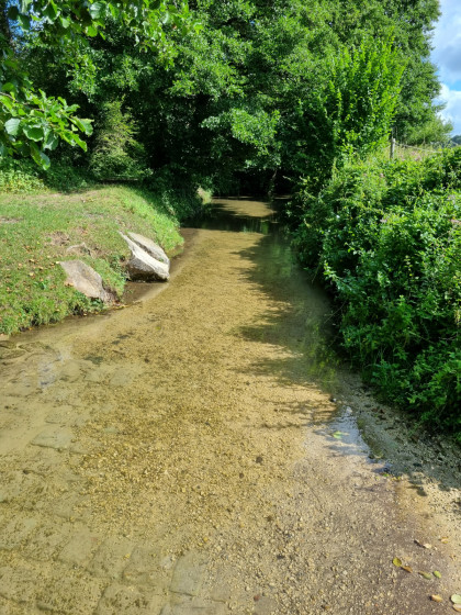 La Renarde