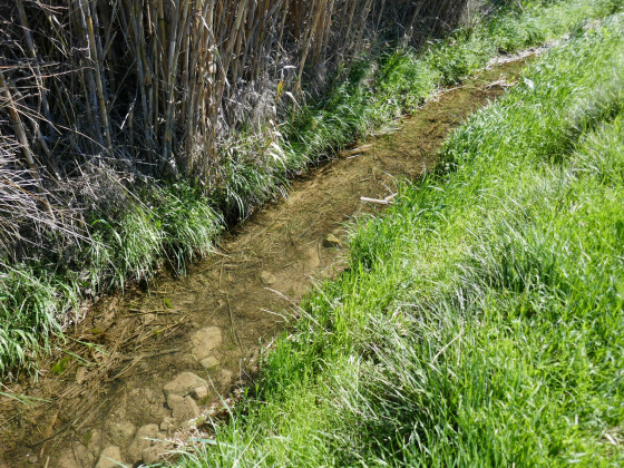 La Reppe, toute petite