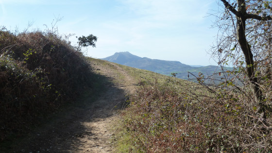 La Rhune à la sortie d\'une zone boisée.
