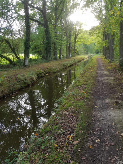 La rigole