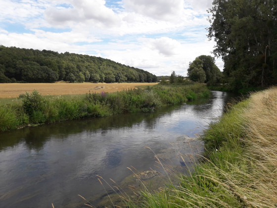 La Risle anime le parcours